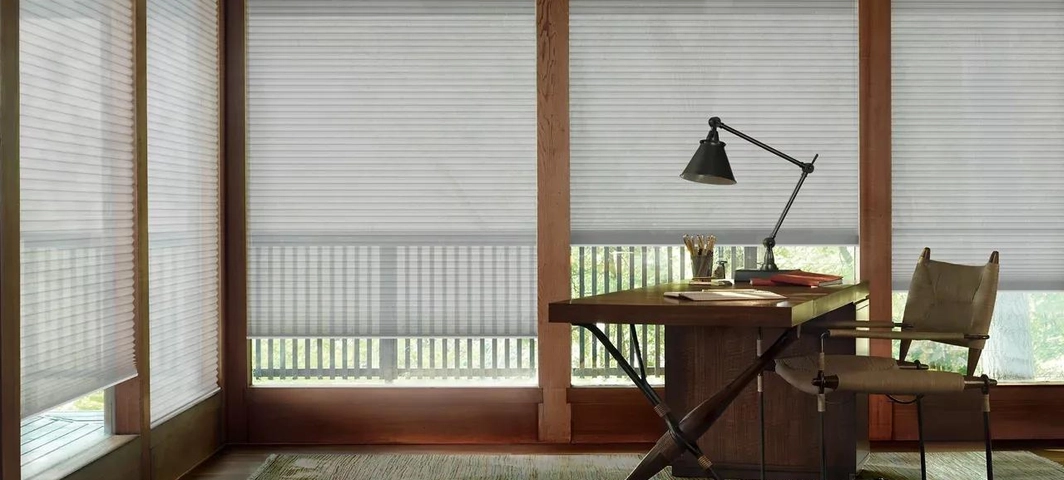 Duette Honeycomb Cellular Shades energy