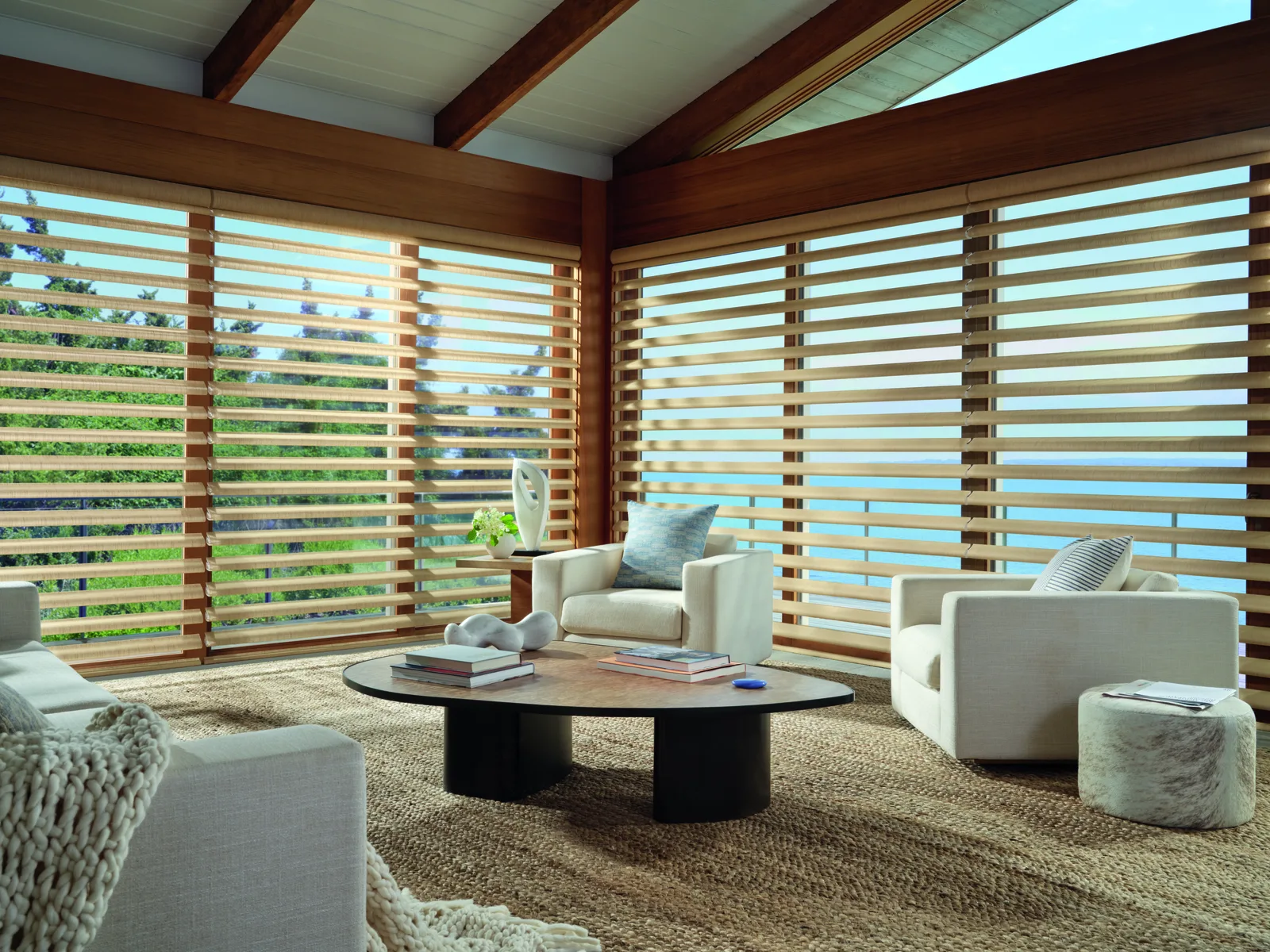 Pirouette Shadings Hunter Douglas