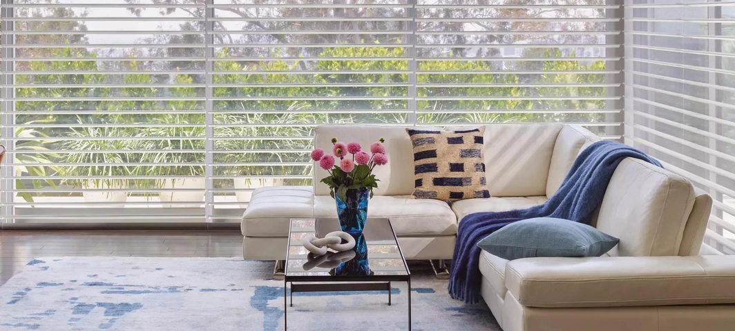 Hunter Douglas Silhouette Sheer Shades NW Arkansas